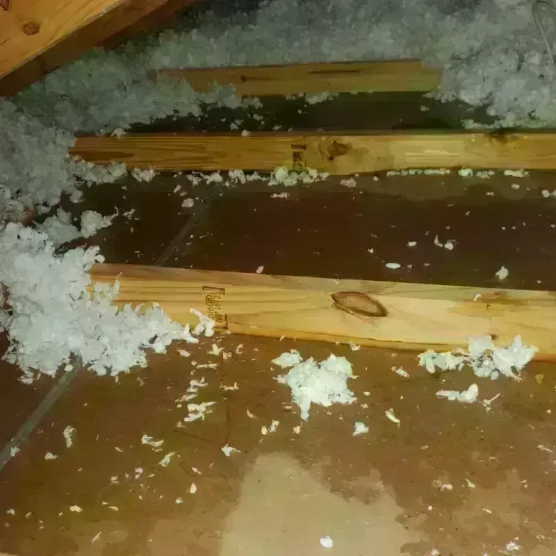 Attic Water Damage in Enfield, NH